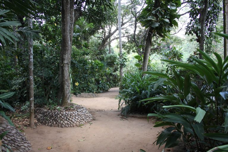 spice garden mawanella