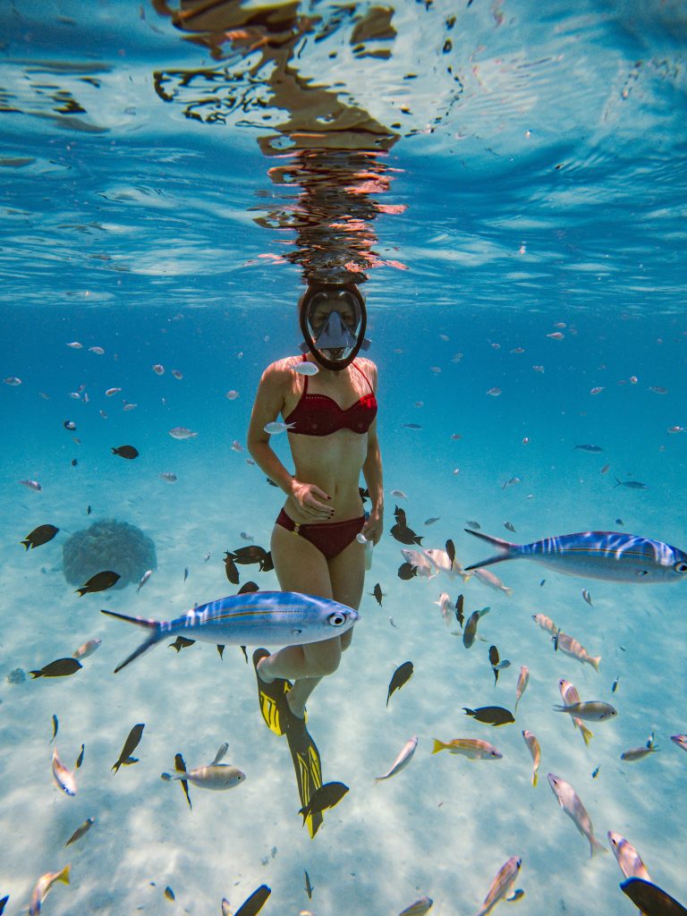 Explore vivid sea life as a woman snorkels among colorful fish underwater in a tropical paradise.